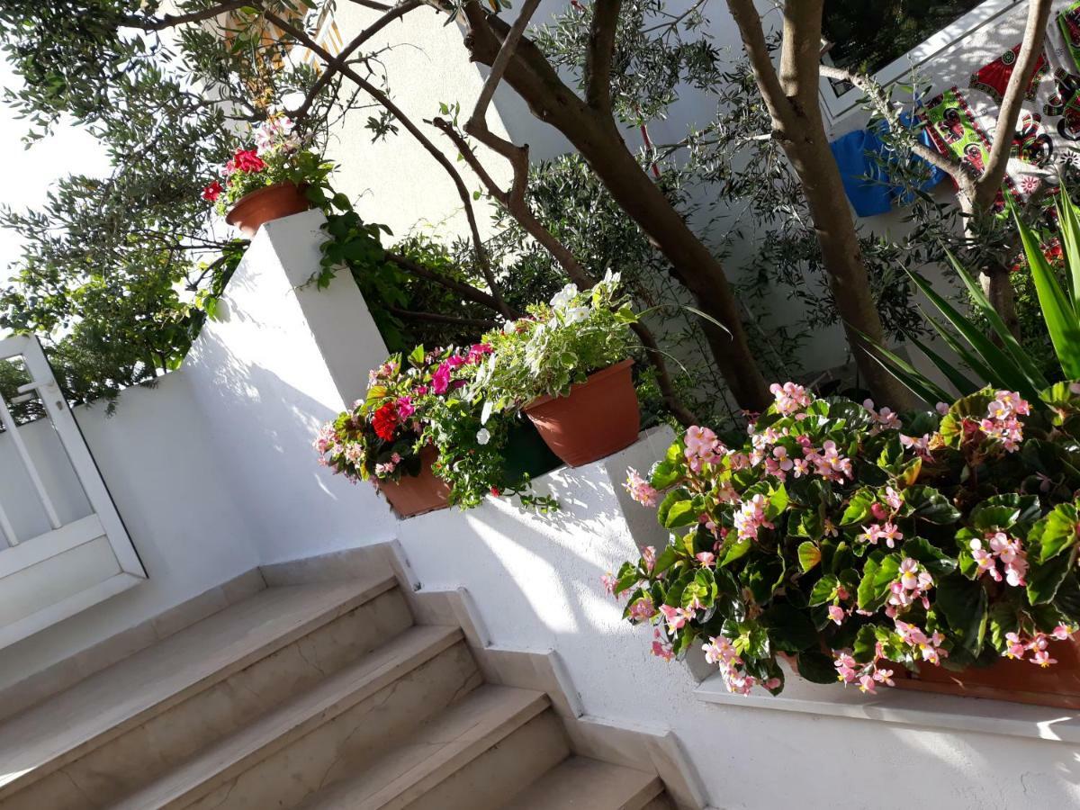 B&B Buzolic Hvar Town Exterior photo